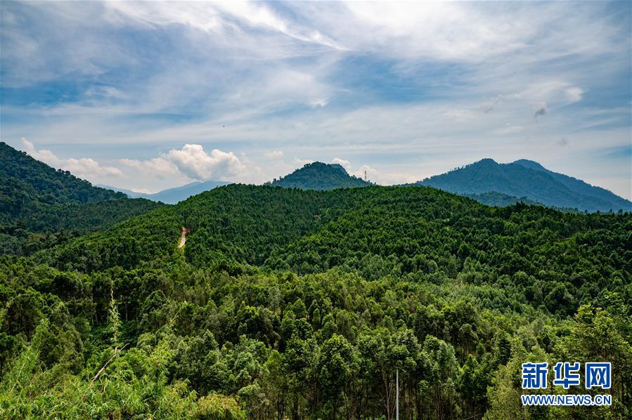 (第三屆進博會·圖文互動)(2)專訪:進博會提供了一個共享中國發(fā)展機遇的平臺