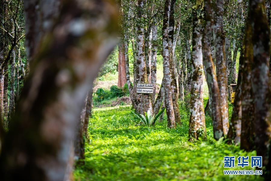 (第三屆進博會·圖文互動)(3)專訪:進博會提供了一個共享中國發(fā)展機遇的平臺