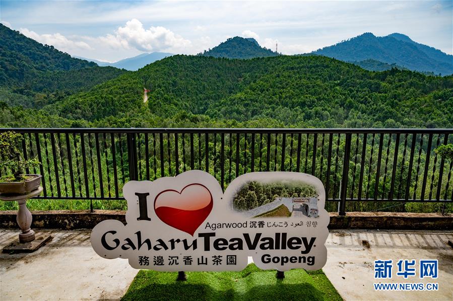 (第三屆進博會·圖文互動)(11)專訪:進博會提供了一個共享中國發(fā)展機遇的平臺