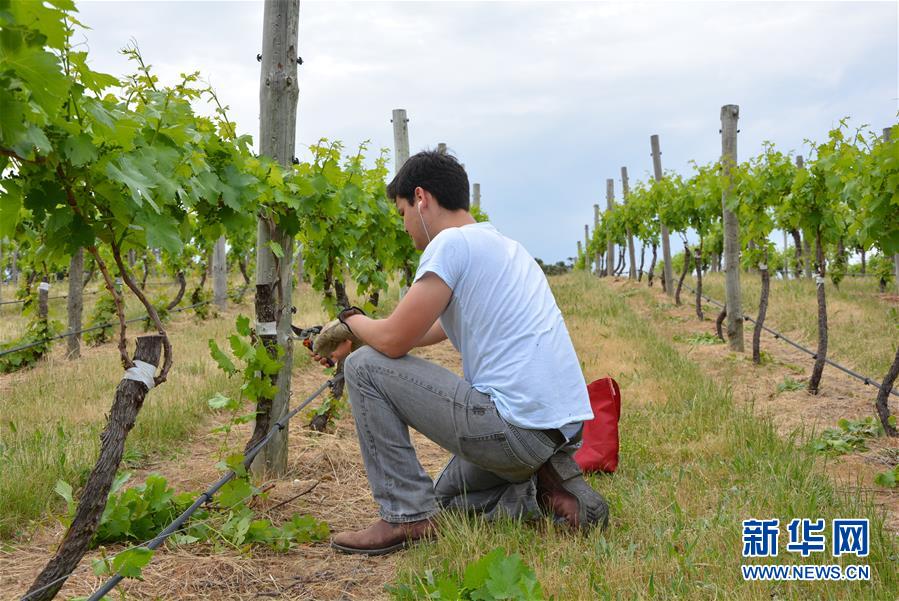 (第三屆進博會·圖文互動)(7)專訪:進博會是了解中國市場的好機會——訪澳大利亞諾瓦維塔葡萄酒集團創始人卡臣