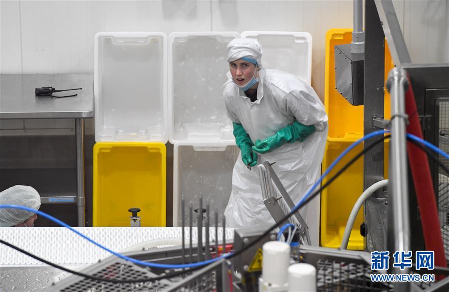 （第三屆進博會&middot;圖文互動）（2）通訊：新西蘭的進博會味道，甜