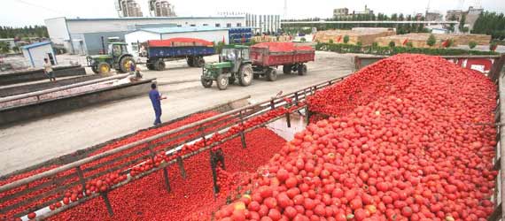 中國推動構(gòu)建共贏、互信、發(fā)展的新絲綢之路