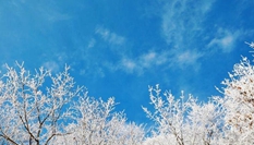 湖北?？蹈呱届F凇美如畫