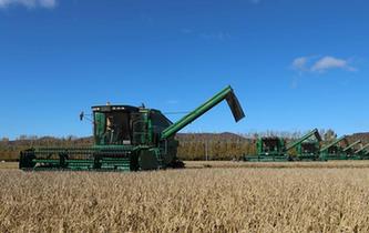 &ldquo;北大荒&rdquo;大農機搶收忙