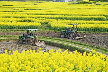 春分將至農事忙